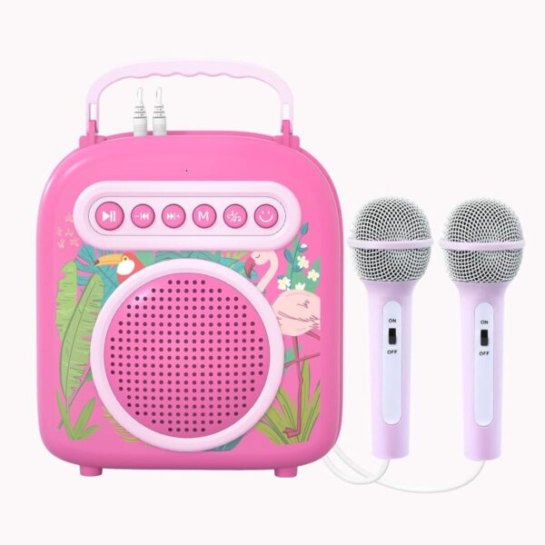 OEM Toys China Singing Toy Musical Instruments Microphone Speaker Sound Baby Bluetooh Karaoke Machine For Kids With 2 Microphone