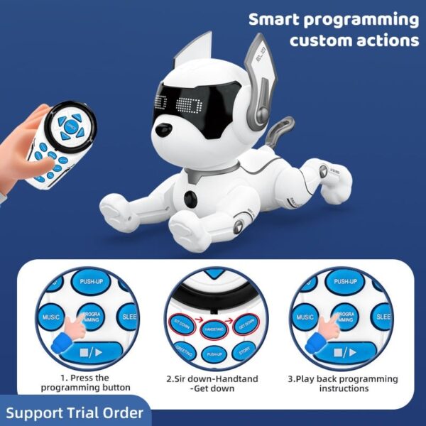 Custom Toy Manufacturer Shantou Chenghai Interactive Programmable Smart Rc Robot Dog Toy Educational Remote Control Dog Robot - Image 5