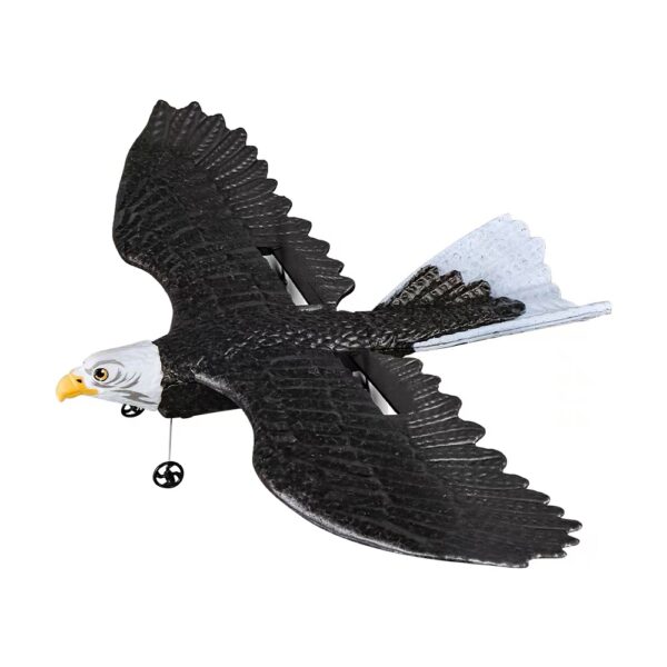 2.4G Eagle 2 CH Remote Control Foam Glider Flying Toy for Kids Beginners RC Airplane Plane Glider by HAWKS WORK