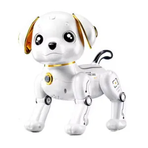 Rc Robot Dog