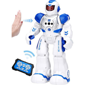 RC Toy Robot
